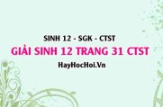 Giải Sinh 12 trang 31 Chân trời sáng tạo SGK